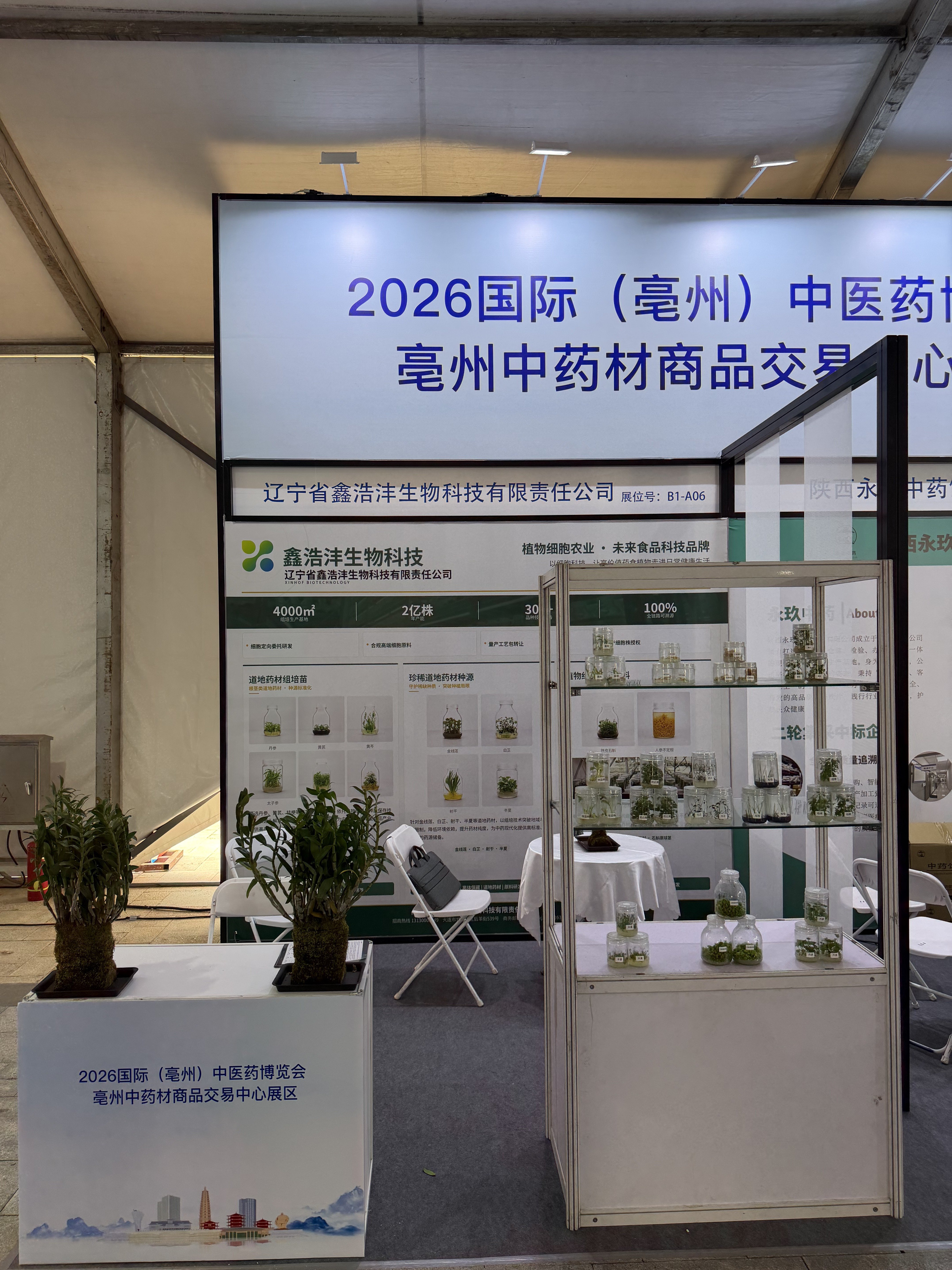 亳州药交会